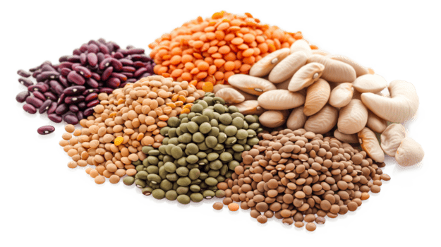 Pulses (Dhals)