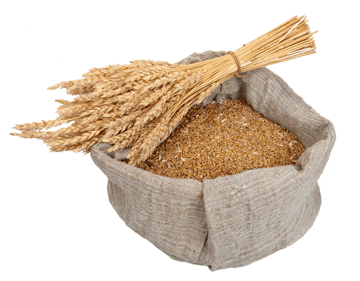 Wheat Products